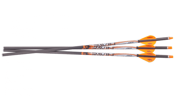 Ravin .001 Premium Match-Grade\* Lighted Arrows, Ravin premium lighted arrows, Ravin .001 straightness bolts, Ravin match-grade crossbow arrows, Ravin high-precision arrows, Ravin illuminated hunting bolts, Ravin match-grade accuracy arrows, Ravin premium carbon arrows, Ravin .001 lighted bolts for R500, Ravin ultra-accurate arrows, Ravin crossbow arrows with lighted nocks, Ravin arrows for long-range accuracy, Ravin elite hunting bolts, Ravin .001 match-grade bolt specs, Ravin lighted arrow review, Ravin arrows with LED illumination, Ravin top-tier arrow flight, Ravin hunting arrows for precision, Ravin factory-matched lighted bolts, Ravin .001 arrows with consistent flight, Ravin illuminated bolt performance, Ravin .001 match-grade arrow weight, Ravin carbon bolt durability, Ravin arrows for big game hunting, Ravin premium arrows 2024, Ravin .001 arrows for elk hunting, Ravin bolt penetration power, Ravin crossbow lighted bolt comparison, Ravin match-grade hunting gear, Ravin .001 lighted arrow groupings, Ravin match-grade vs standard arrows, Ravin advanced crossbow arrows, Ravin arrows with aerodynamic vanes, Ravin bolt trajectory stability, Ravin arrows with precision nocks, Ravin illuminated arrow visibility, Ravin carbon bolts for extreme accuracy, Ravin lighted arrows low-light hunting, Ravin match-grade field performance, Ravin high-speed bolt compatibility, Ravin arrows with broadhead tips, Ravin .001 arrow kinetic energy, Ravin bolt LED nock system, Ravin crossbow bolt tuning, Ravin hunting arrows with high visibility, Ravin .001 lighted arrow reliability, Ravin crossbow arrows with extreme accuracy, Ravin field-tested lighted bolts, Ravin match-grade illumination system, Ravin crossbow arrows with elite specs, Ravin high-end bolt performance, Ravin arrows trusted by pros, Ravin hunting arrows with tight tolerances, Ravin premium lighted arrow pack, Ravin .001 arrow ballistic match, Ravin arrows with minimal deviation, Ravin illuminated bolt 3-pack, Ravin arrows for precise shot placement, Ravin .001 hunting arrow results, Ravin crossbow accessory arrows, Ravin lighted bolt broadhead compatibility, Ravin hunting gear top picks, Ravin .001 match-grade tech, Ravin top-performance bolt selection, Ravin ultra-premium arrow choice, Ravin LED bolt comparison, Ravin enhanced tracking bolts, Ravin .001 carbon shaft arrows, Ravin high-visibility arrow tracking, Ravin illuminated bolt tuning tips, Ravin advanced hunting arrow setup, Ravin top-tier gear for accuracy