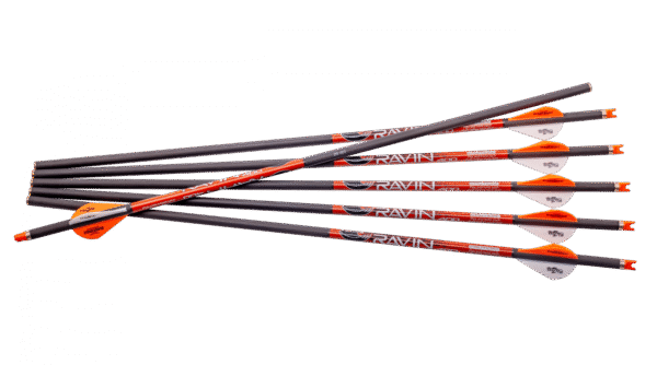 Ravin .003 Arrows, Ravin arrows .003 straightness, Ravin premium crossbow bolts, Ravin high-precision arrows, Ravin .003 hunting bolts, Ravin arrows for R500, Ravin carbon arrows, Ravin .003 arrow specs, Ravin crossbow arrows 2024, Ravin .003 accuracy test, Ravin .003 vs .001 arrows, Ravin arrows for big game, Ravin factory-matched arrows, Ravin 400 grain bolts, Ravin arrows with nocks, Ravin crossbow bolt performance, Ravin .003 arrow review, Ravin arrows for elk hunting, Ravin .003 arrow speed, Ravin .003 field test, Ravin premium bolt pack, Ravin .003 arrow 6-pack, Ravin crossbow compatible arrows, Ravin .003 high-velocity bolts, Ravin precision-matched arrows, Ravin arrow technology, Ravin .003 straightness tolerance, Ravin hunting arrow tips, Ravin .003 bolt durability, Ravin .003 ballistic match, Ravin arrows for accuracy, Ravin carbon bolt flight, Ravin .003 hunting results, Ravin .003 for deer hunting, Ravin .003 carbon shaft, Ravin arrows for long-range, Ravin .003 kinetic energy, Ravin bolt broadhead compatibility, Ravin .003 zero-index lighted nocks, Ravin .003 bolt components, Ravin .003 build quality, Ravin .003 weight consistency, Ravin carbon bolt reliability, Ravin arrows for R29X, Ravin .003 vs TenPoint arrows, Ravin bolt penetration test, Ravin crossbow hunting ammo, Ravin .003 bolt tips and tricks, Ravin .003 vs aluminum bolts, Ravin carbon arrow case, Ravin arrow bundle deal, Ravin .003 field tips, Ravin .003 broadhead ready, Ravin bolts for max speed, Ravin hunting gear 2024, Ravin arrows with inserts, Ravin premium hunting arrows, Ravin bolt review 2024, Ravin .003 factory fletched, Ravin arrows for silent flight, Ravin .003 consistent groupings, Ravin crossbow shooting tips, Ravin .003 hunting efficiency, Ravin arrows for stealth hunting, Ravin arrow weight specs, Ravin arrows with vanes, Ravin field-proven bolts, Ravin .003 complete package, Ravin .003 arrow penetration, Ravin arrows with high accuracy, Ravin .003 bolt impact test, Ravin .003 crossbow accessories, Ravin arrows for extreme hunting, Ravin .003 carbon match, Ravin bolt length and balance, Ravin arrows for top-tier crossbows, Ravin .003 long-range flight, Ravin .003 arrow case, Ravin carbon arrows elite performance