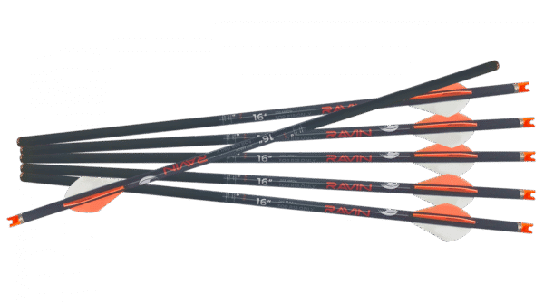 Ravin .003 R18 Arrows, Ravin R18 arrows, Ravin .003 crossbow bolts, Ravin carbon arrows, Ravin R18 compatible arrows, Ravin short crossbow bolts, Ravin compact crossbow arrows, Ravin precision arrows, Ravin hunting arrows, Ravin arrows for R18, Ravin 16-inch arrows, Ravin carbon hunting bolts, Ravin R18 crossbow accessories, Ravin high-accuracy arrows, Ravin short draw arrows, Ravin arrows for big game, Ravin arrows for elk, Ravin arrows for deer hunting, Ravin arrows for predator control, Ravin arrows for turkey, Ravin field-tested arrows, Ravin arrows with brass inserts, Ravin arrows with polymer nocks, Ravin high-performance arrows, Ravin arrows for sale, Ravin .003 straightness tolerance, Ravin target arrows, Ravin arrows for long-range accuracy, Ravin R18 bolt set, Ravin arrow quiver compatibility, Ravin R18 hunting gear, Ravin bolt penetration test, Ravin durable crossbow arrows, Ravin kinetic energy arrows, Ravin arrows for compact setups, Ravin arrows for mountain hunts, Ravin short bolt crossbow gear, Ravin arrows for tactical hunts, Ravin crossbow field arrows, Ravin arrows for precision shooting, Ravin lightweight arrows, Ravin premium arrow shafts, Ravin arrows with aluminum nock bushings, Ravin arrows for rugged terrain, Ravin arrow reliability, Ravin R18 arrow performance, Ravin crossbow gear, Ravin crossbow bolt accessories, Ravin R18 optimized bolts, Ravin arrow pack, Ravin arrows for extreme weather hunting, Ravin R18 stealth hunting arrows, Ravin premium hunting accessories, Ravin compact crossbow bolt pack